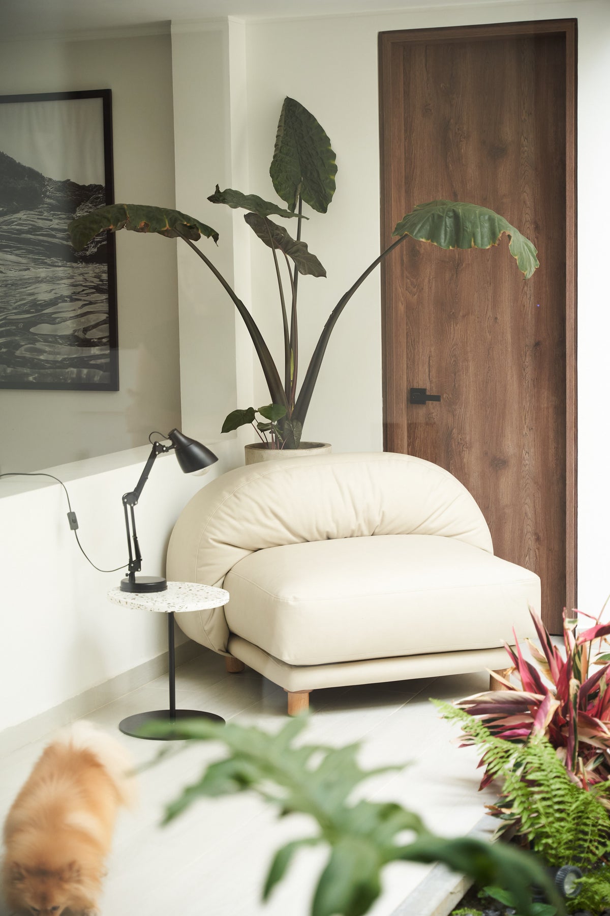 Silla Serena-2